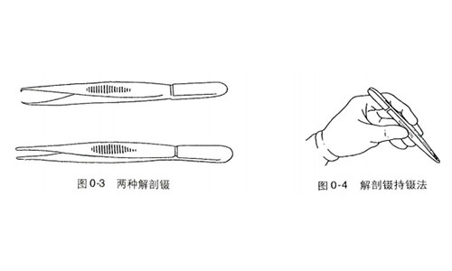 尸體解剖器材